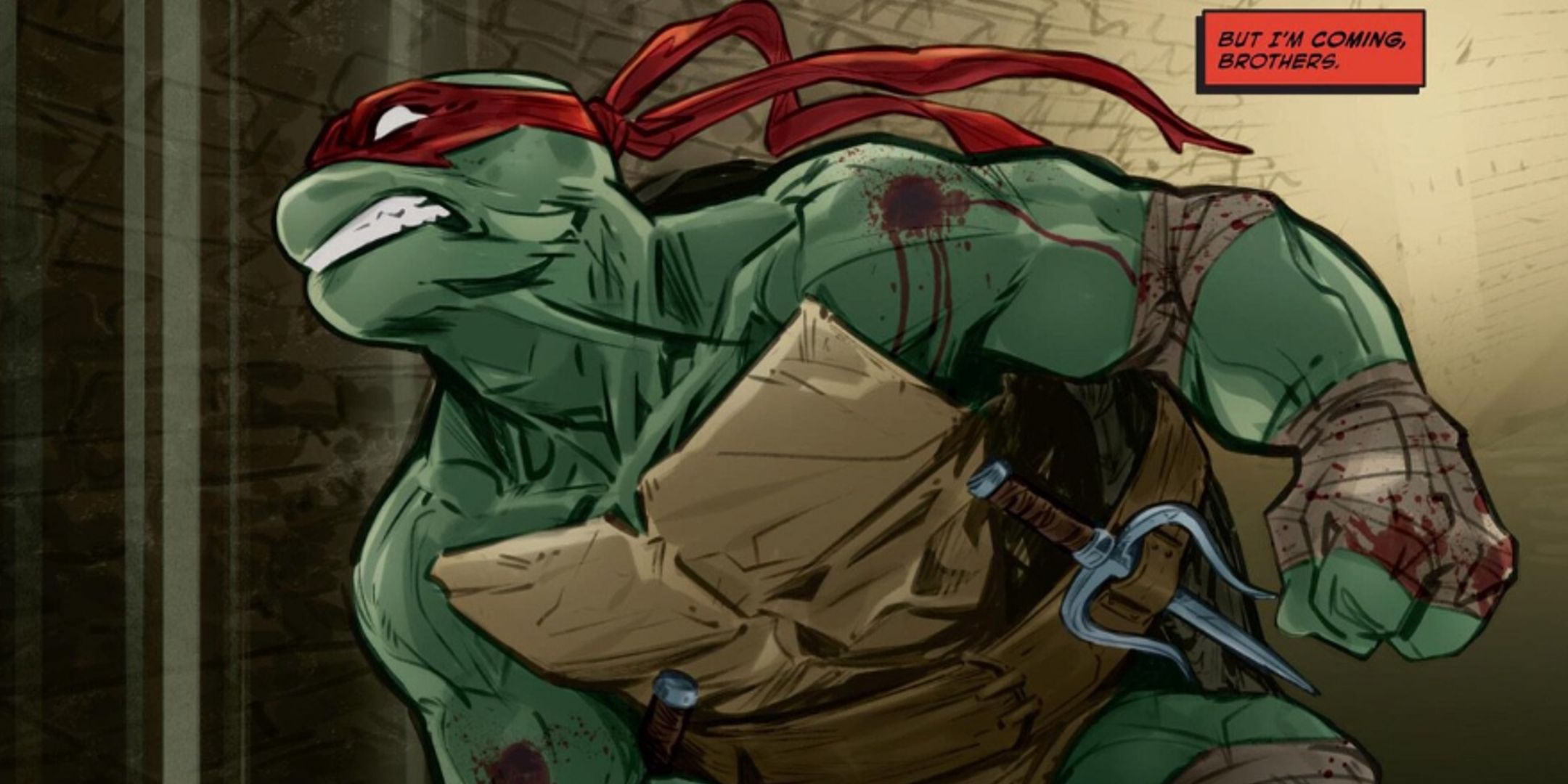 Each Teenage Mutant Ninja Turtle's Relaunched Journey, Explained