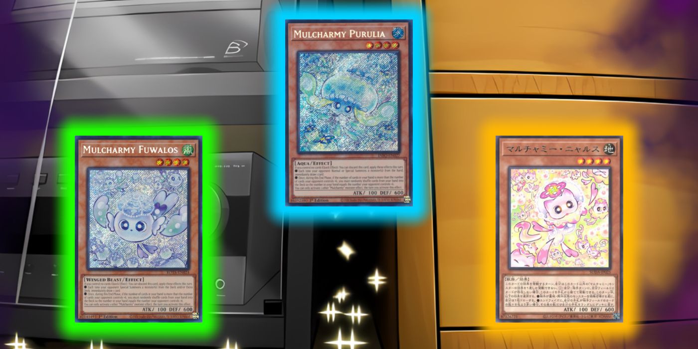 Is Mulcharmy the New Maxx 