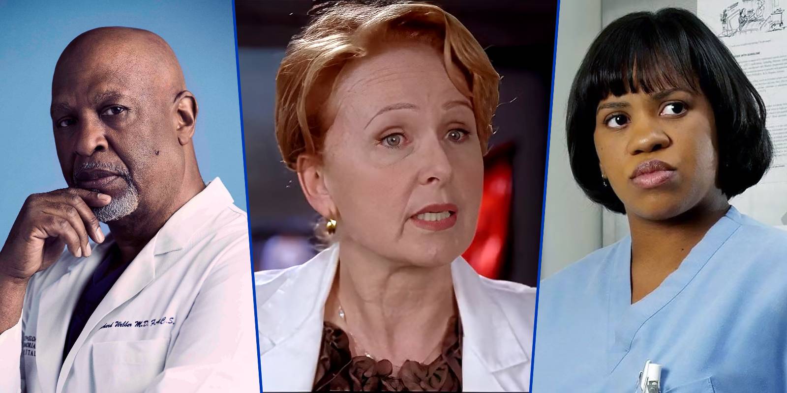 10 Biggest Grey's Anatomy Plot Holes (So Far), Ranked(02)