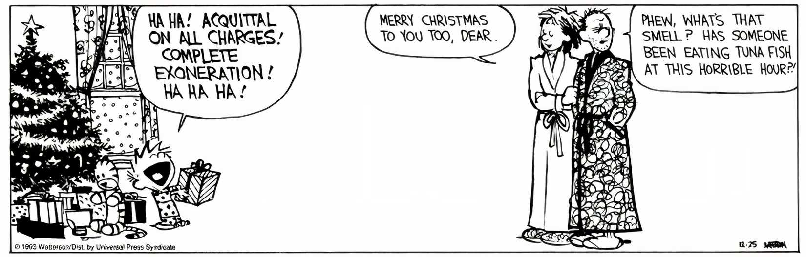 The 15 Best Calvin and Hobbes Christmas Comics, image size:1650x527
