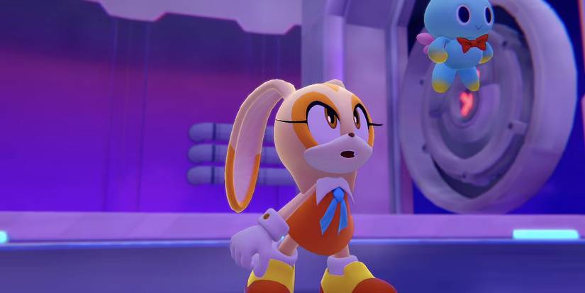 Sonic the Hedgehog: 10 Best Characters From the Franchise That Deserve ...