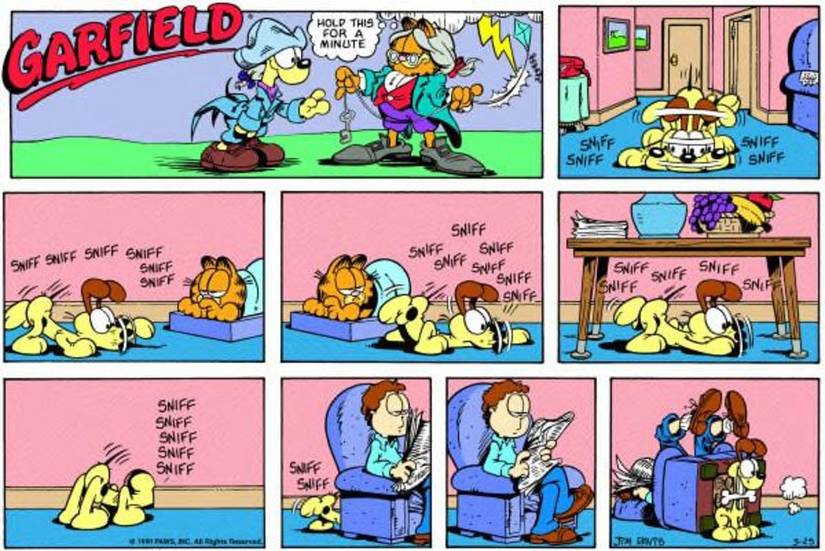 Fuy Garfeild 10 Best Odie Garfield Comic Strips of All Time, Ranked