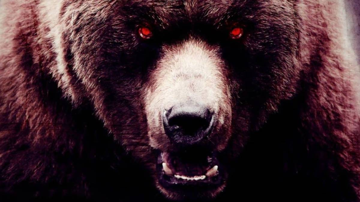 New Grizzly Bear Movie to Star Outer Banks, The Mummy & Stargirl Actors