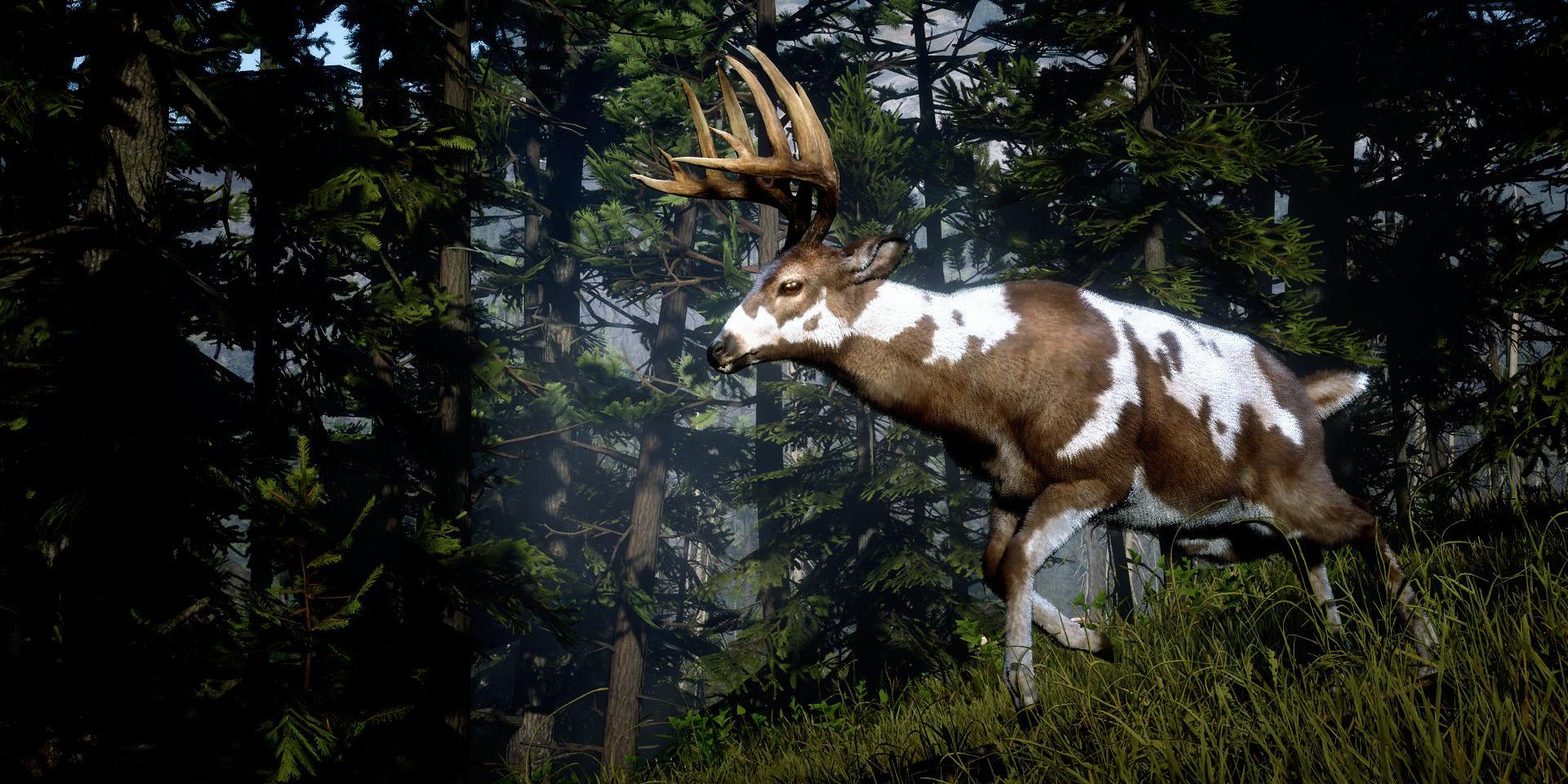 10 Best Open World Games Where You Can Have a Pet, Ranked