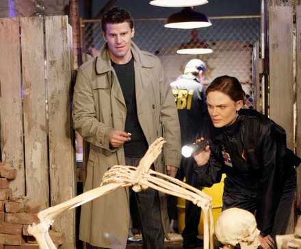 Why Bones Recast Parker Booth
