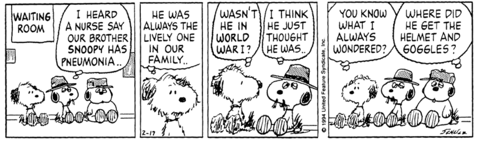 10 Funniest Peanuts Comics Featuring Snoopy's Family, Ranked