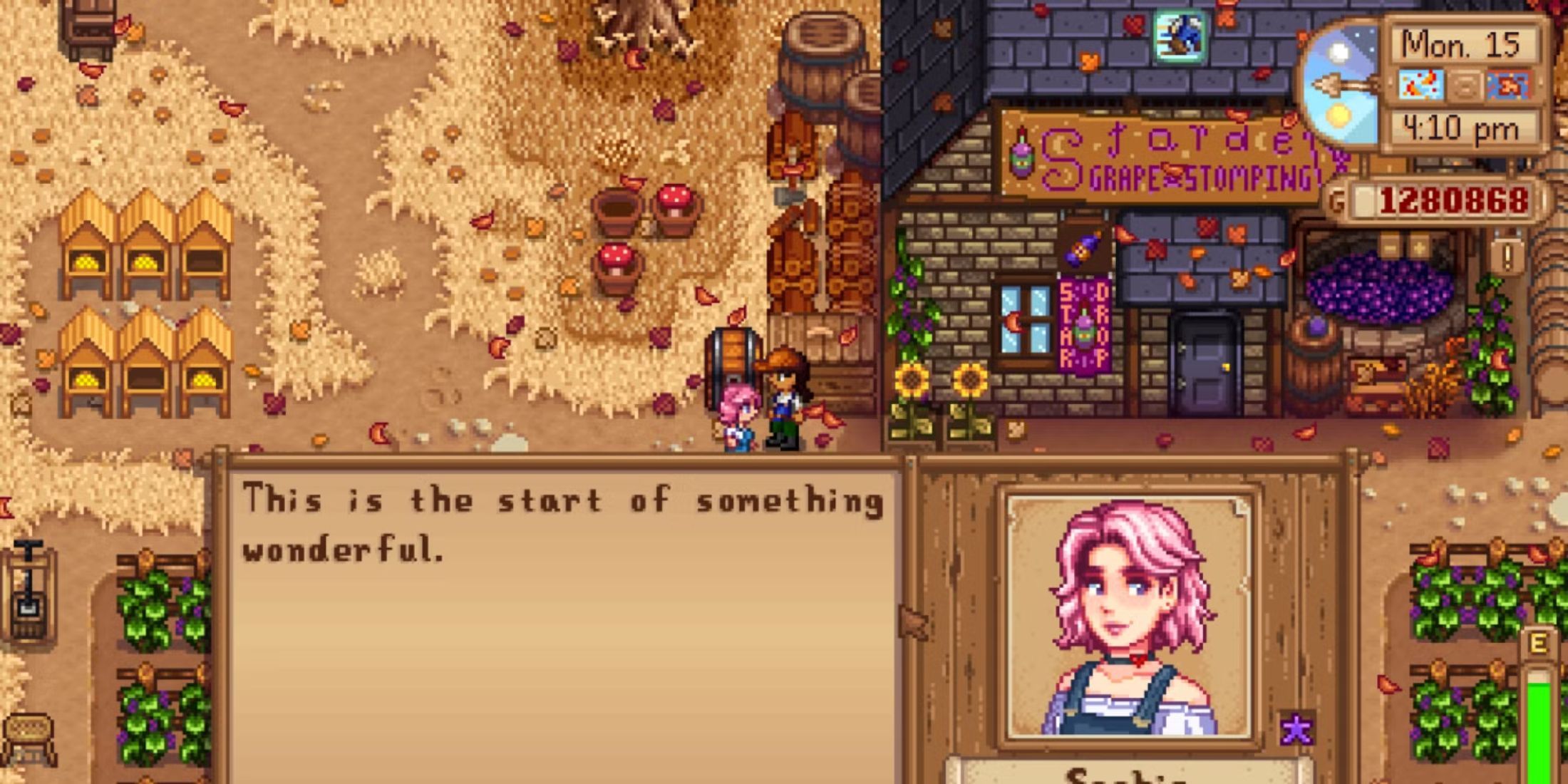 Sophia conversa com o fazendeiro em Stardew Valley Expanded.