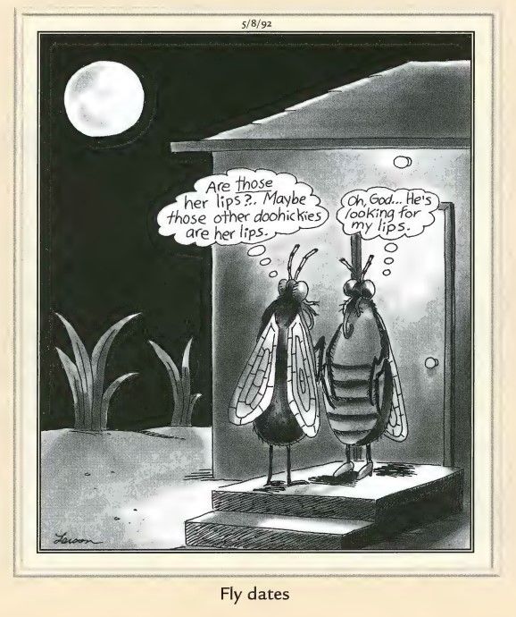 Far Side Dates 13