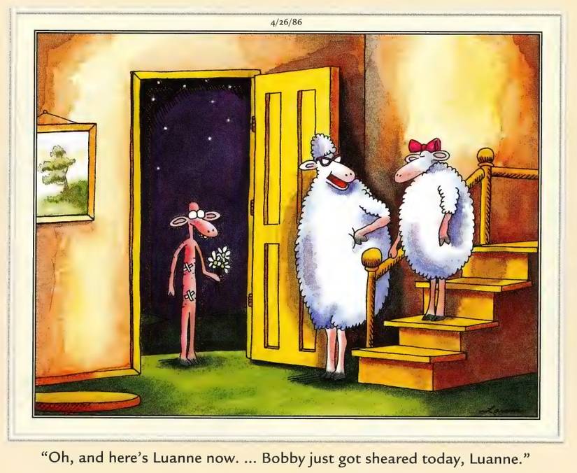 Far Side comic with two sheep on a date