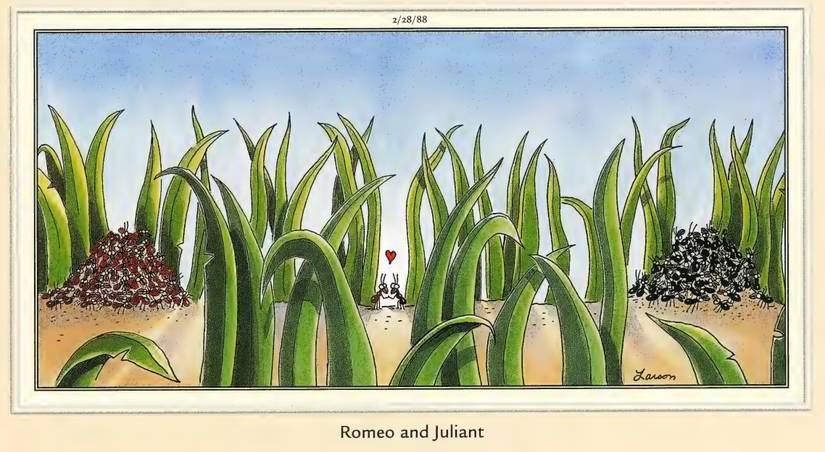 Far Side Comic Romeo and Juliant