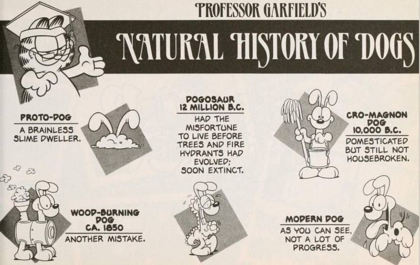 Various versions of Odie are displayed.