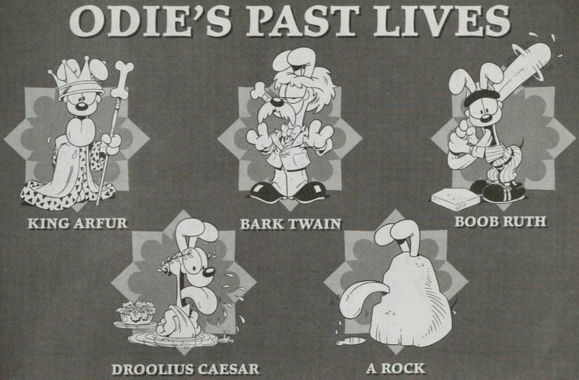 A collection of various Odies.