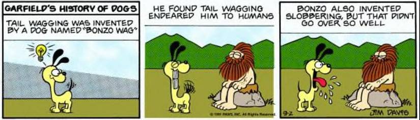 A dog wags and drools while a bearded man looks on.