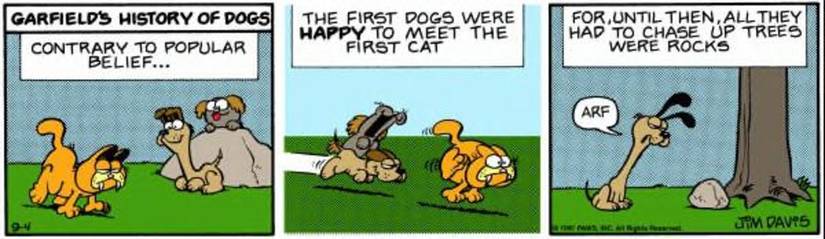 Dogs chase a cat up a tree.