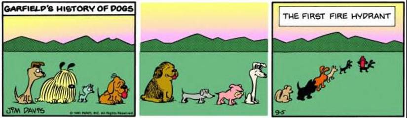 A long line of dogs leading to the first hydrant.