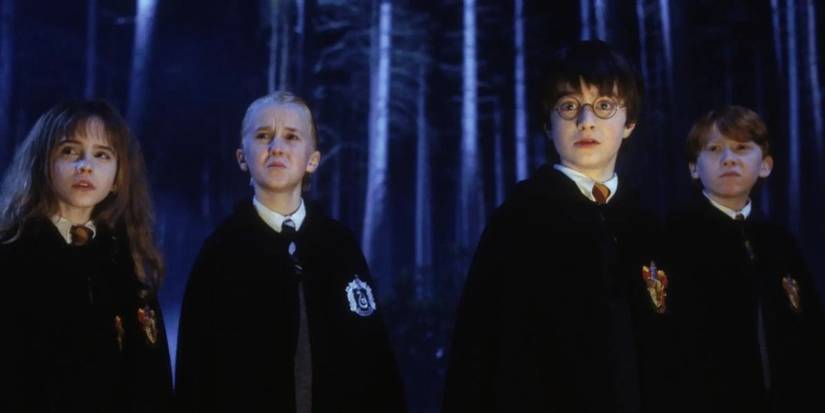 Harry Potter, Hermione Granger, Ron Weasley, and Draco Malfoy in the Forbidden Forest from Harry Potter.
