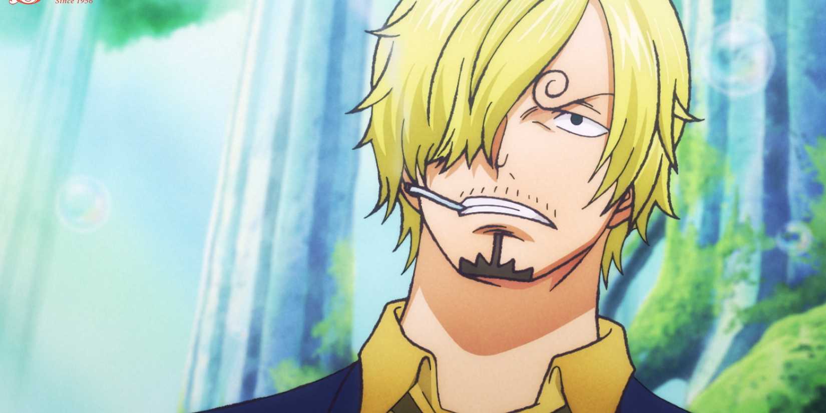 How Well Do You Know Sanji?
