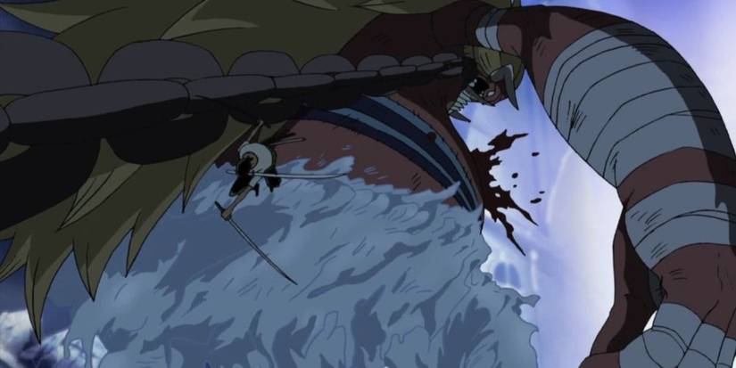 Zoro uses his Three Thousand World technique in One Piece