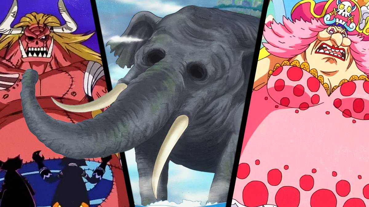 The 25 Tallest One Piece Characters, Ranked