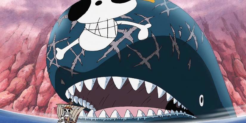 Laboon, who has the Straw Hat Jolly Roger, is watching the Straw Hat Pirates sail away in One Piece.