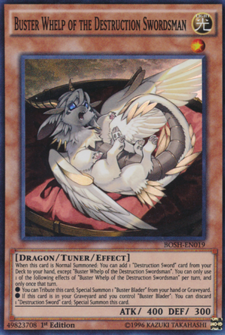 Protector Whelp Yu-Gi-Oh!: Every Destruction Sword Card, Ranked