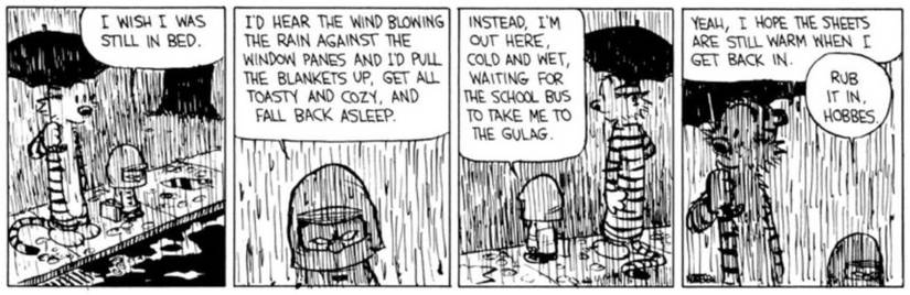 10 Things Everyone Always Gets Wrong About Calvin and Hobbes