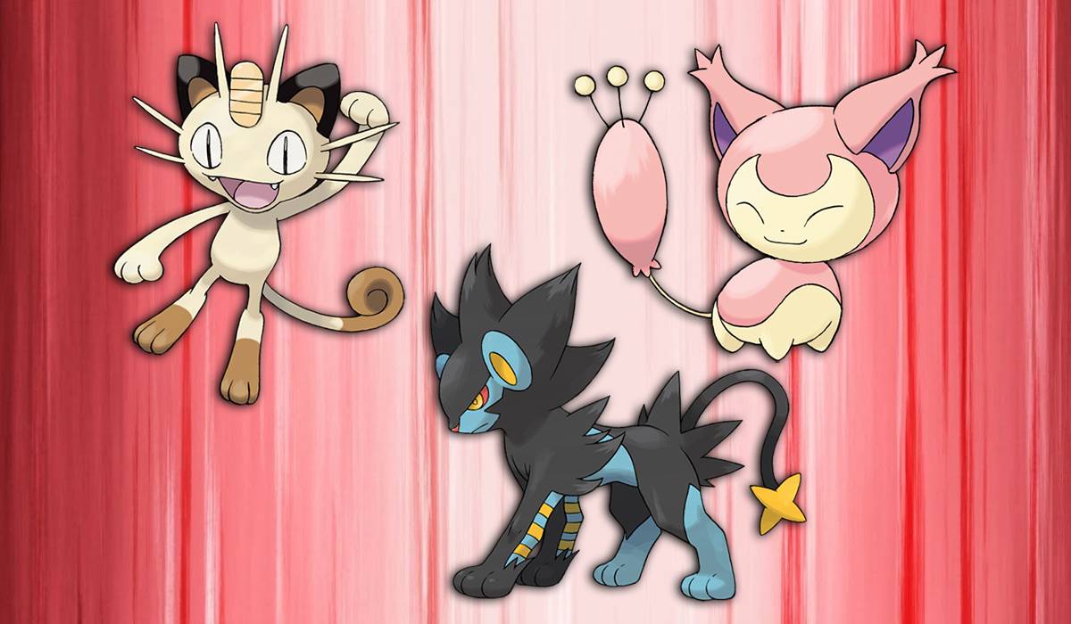 pokemon cat cards Custom Card, Pokemon Gift, Pokmeon Card, Pokemon TCG, Pokemon, Custom Dog Gift, Dog Gift, Gift, Custom Cat Gift, Pet Gift, MJ Pokemon CAT SMURF