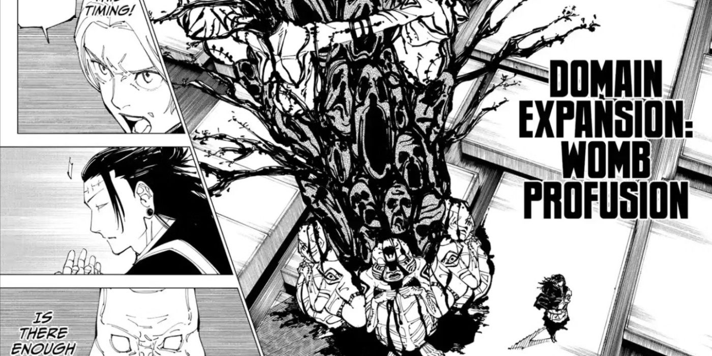 Jujutsu Kaisen's Domain Expansion, Explained