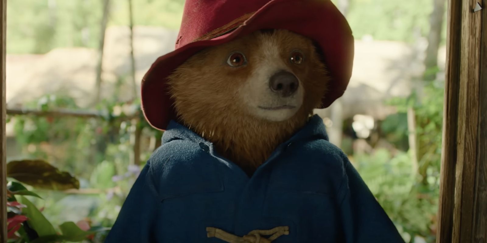 Sally Hawkins Breaks Silence on Dropping Out of Paddington in Peru