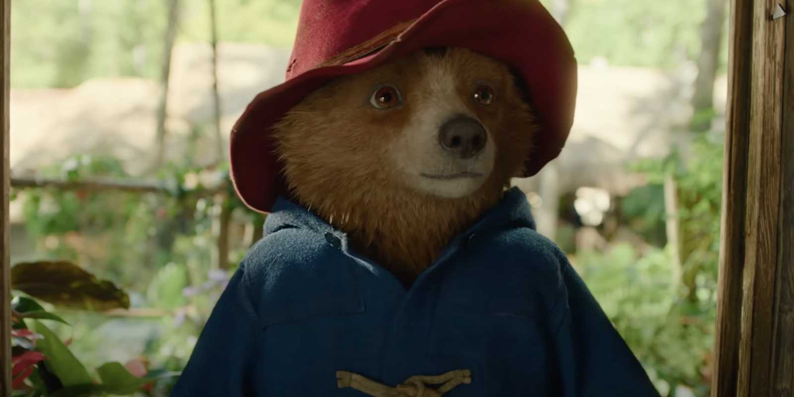Paddington Raft Sally Hawkins Breaks Silence on Dropping Out of Paddington in Peru