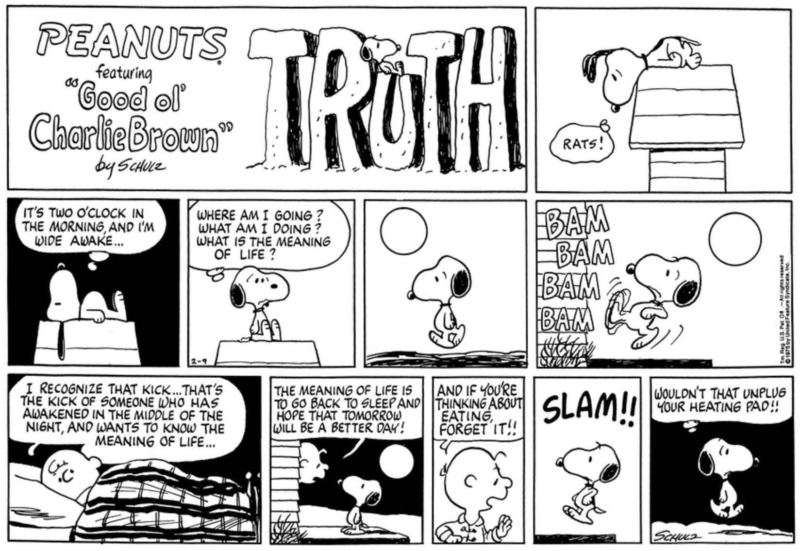 10 Best Peanuts Comics That Wake Charlie Brown Up