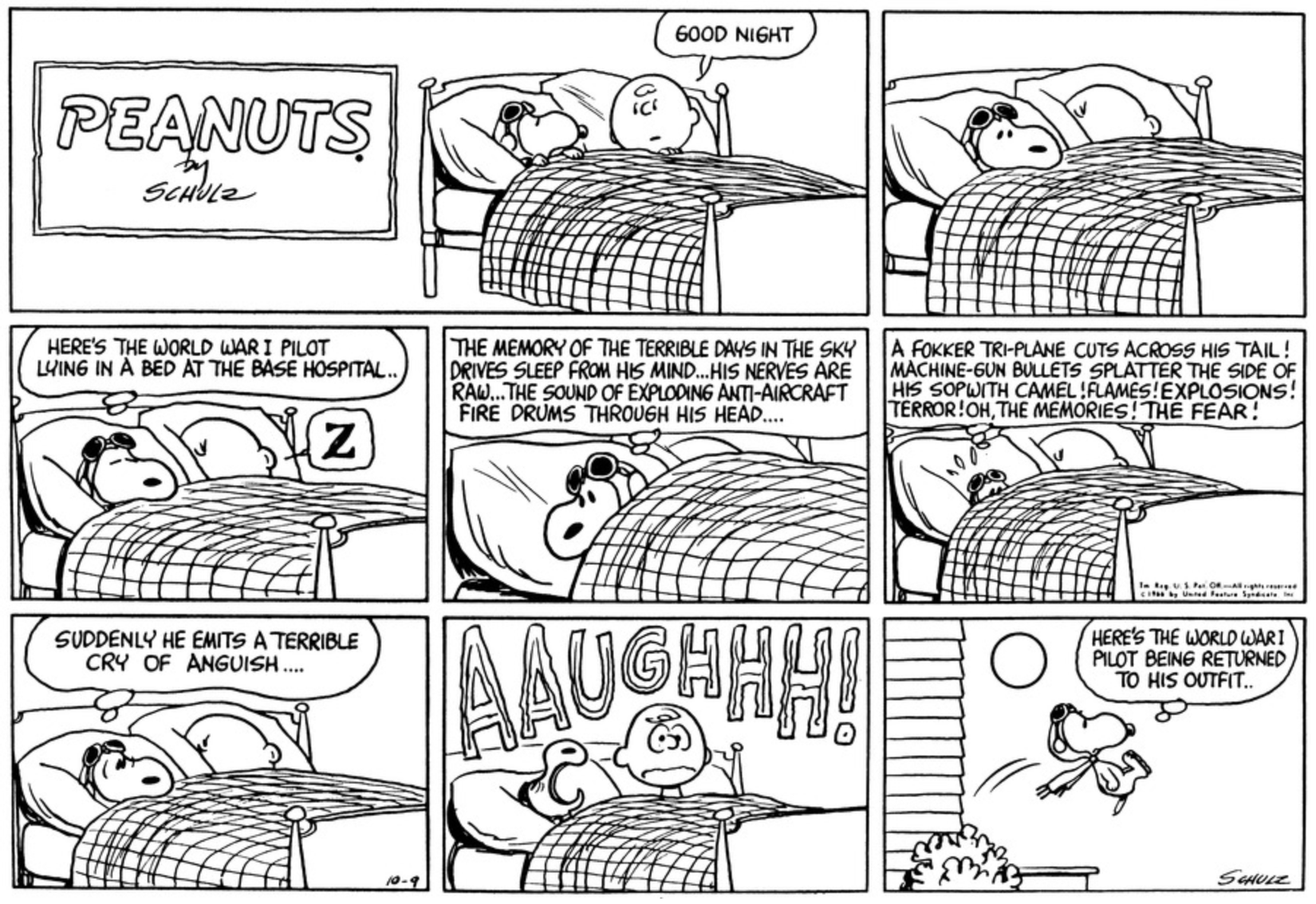 Poor Snoopy 10 Best Peanuts Comics That Wake Charlie Brown Up