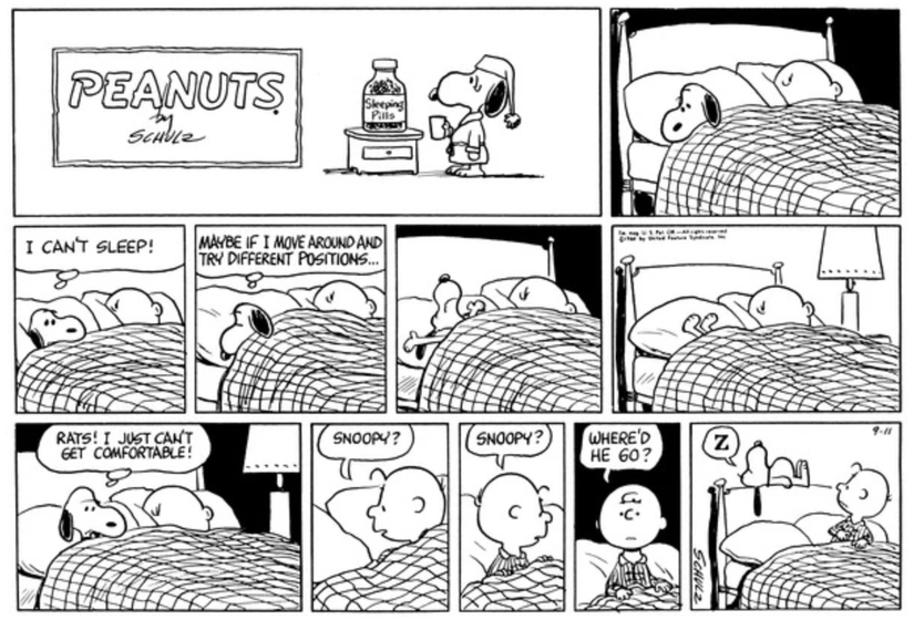 10 Best Peanuts Comics That Wake Charlie Brown Up