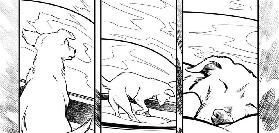 DC Finally Revealing Krypto's True Origin