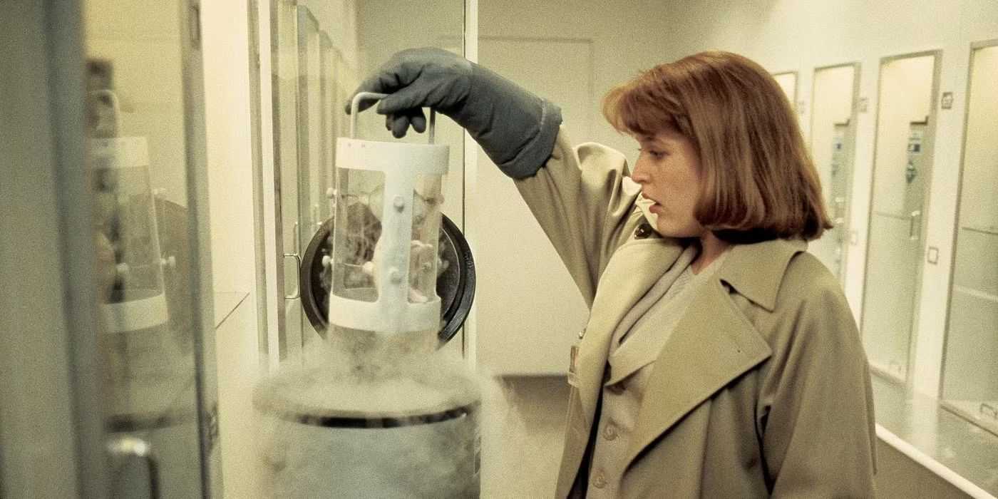 Security Scully Gillian Anderson Reveals Conditions for Scully Return in Sinners ...