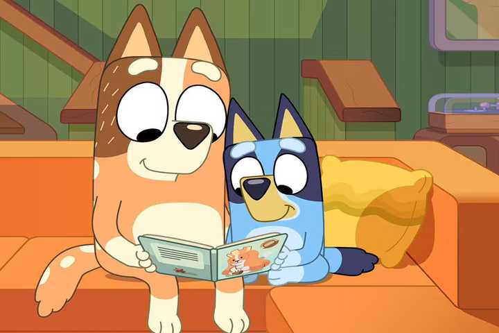 Chilli Parents Bluey | CBR