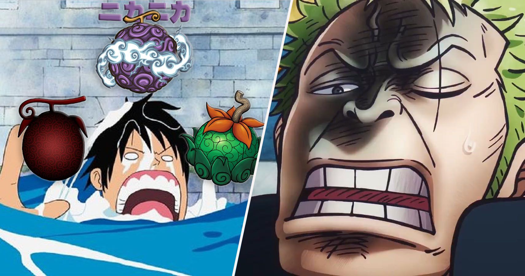 Luffy drowning in water surrounded by devil fruit while a disgusted zoro looks at him