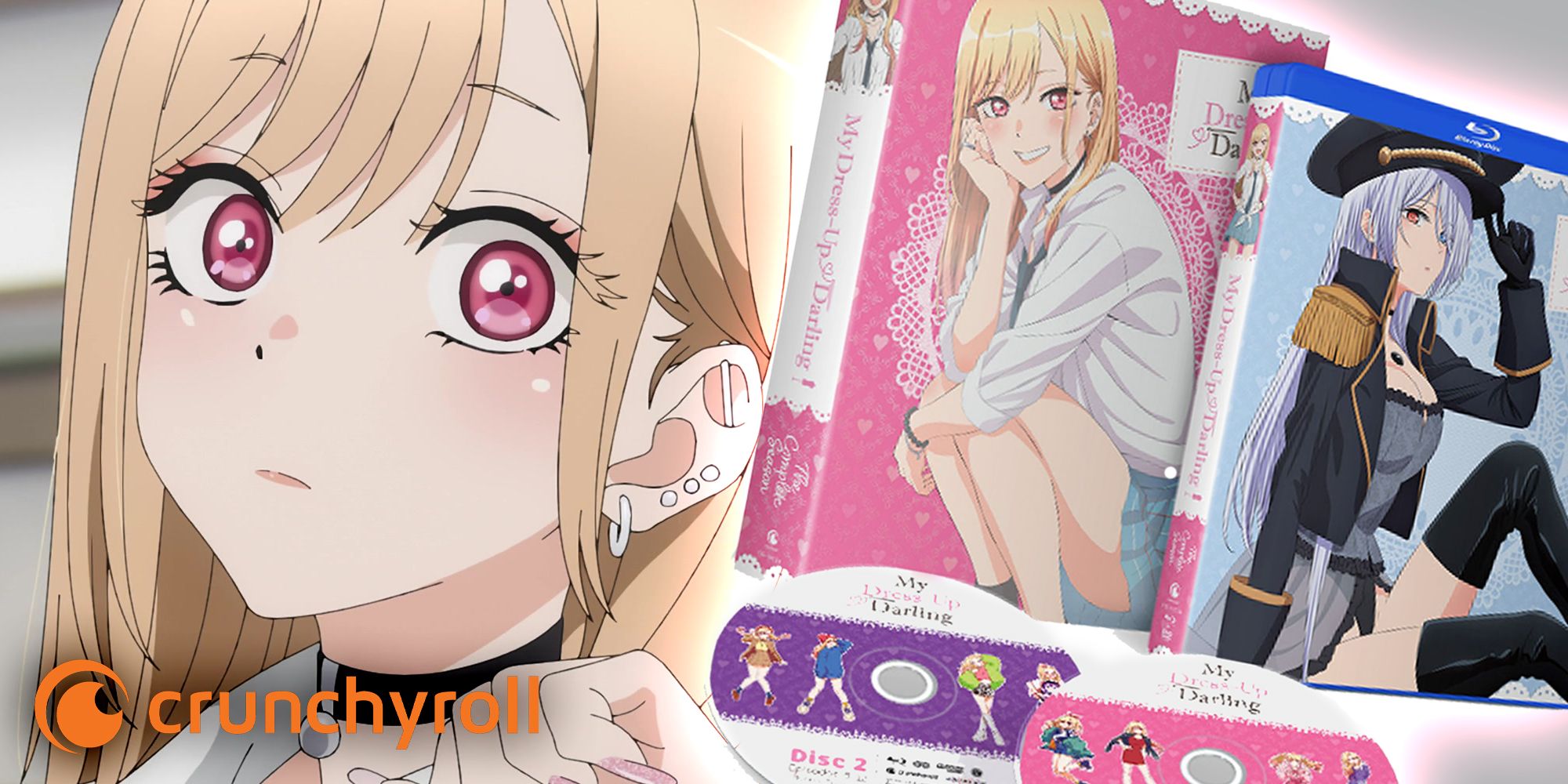 ミュージック Organize Darling Party DVD ミュージック Organize Darling Party DVD ミュージック