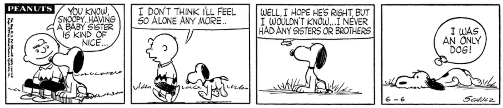 10 Best Peanuts Comics About Siblings, Ranked