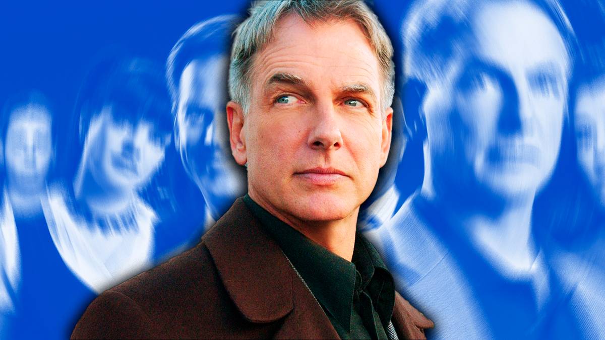 15 Best NCIS Seasons, Ranked