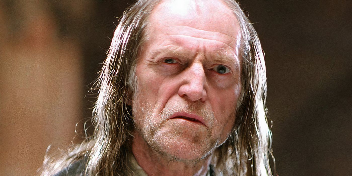Harry Potter Franchise Star Expects to Be 'Long Forgotten' After HBO's ...