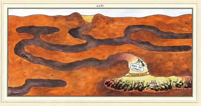 far-side-birthdays-ant-surprise-party.jp