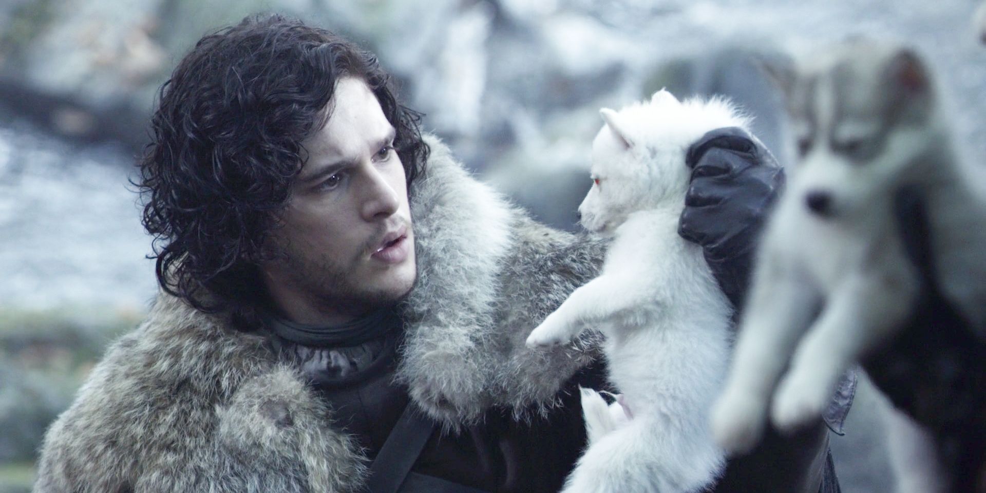 Jon Snow Dire Wolf