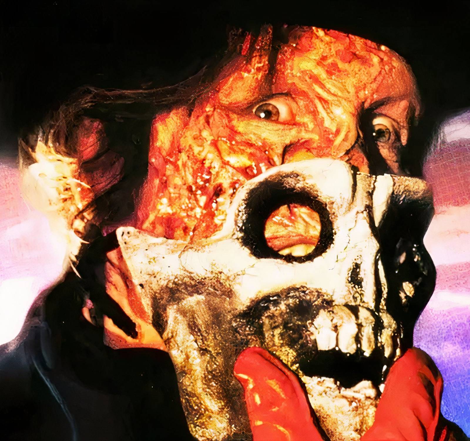 5 Years After Nightmare on Elm Street, Robert Englund Starred in This  Forgotten Horror Flop (But It's Still Worth Watching), image size:1600x1500