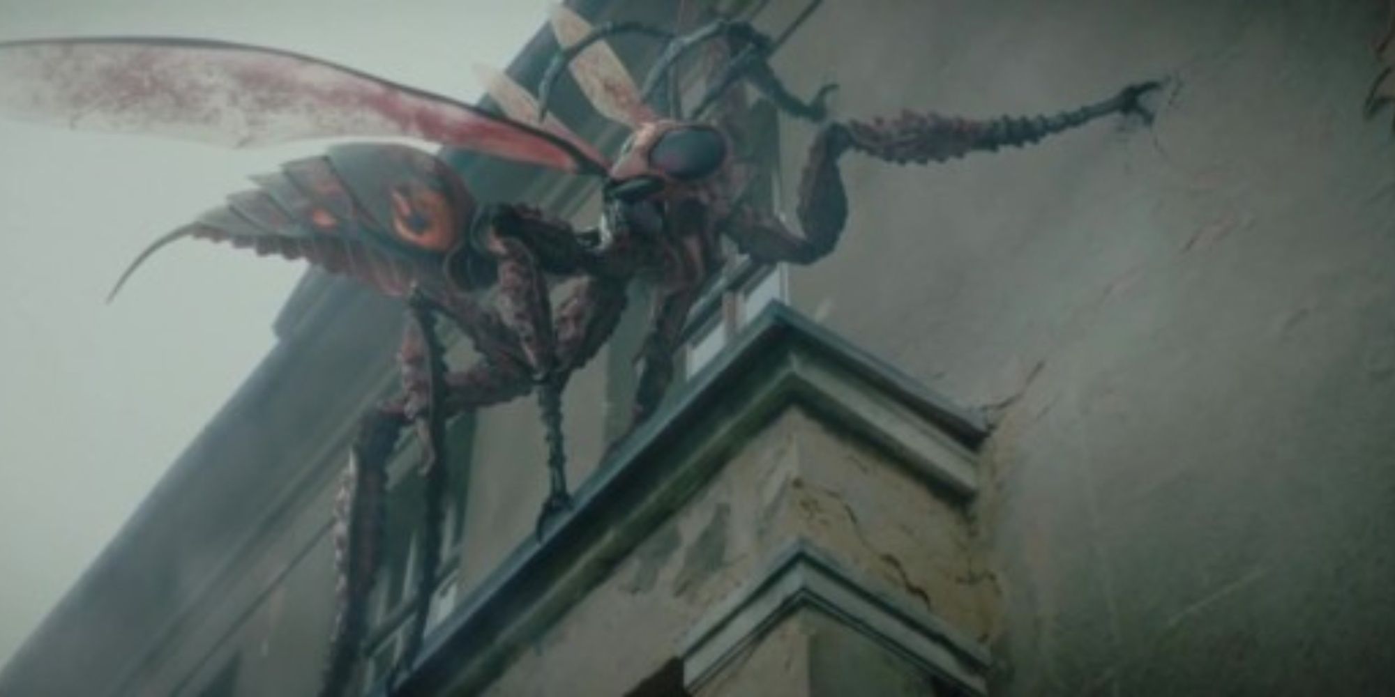 10 Underrated Creature Features That Don't Have a Sequel (But Should)