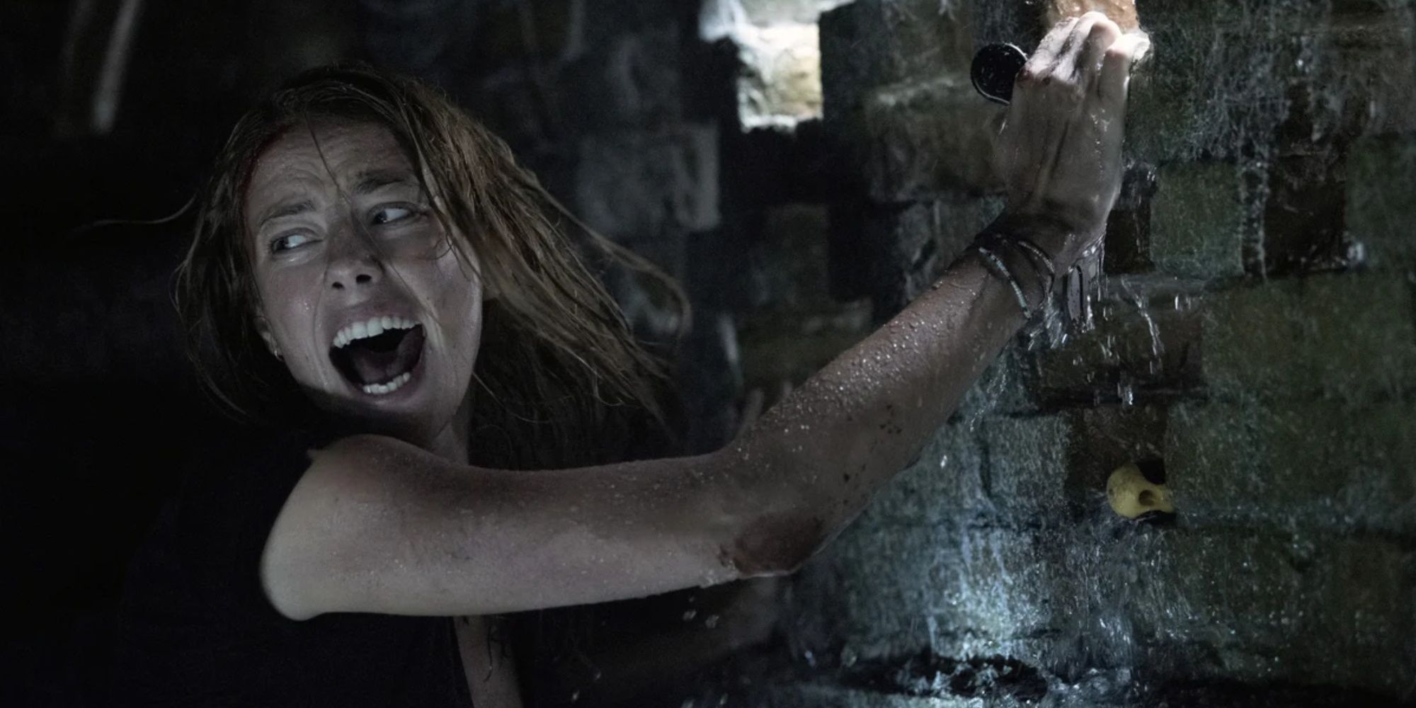 10 Underrated Creature Features That Don't Have a Sequel (But Should)