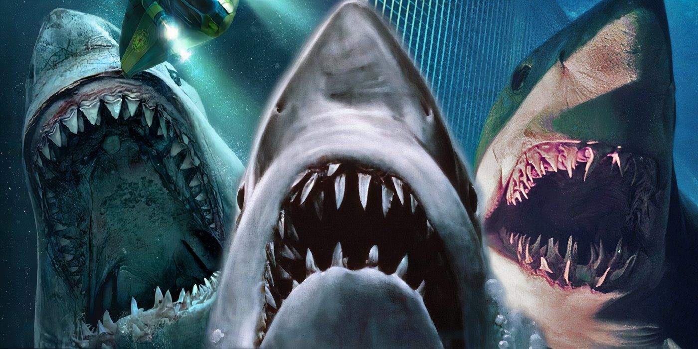 10 Terrifying Shark Movies That Are (Almost) as Good as Jaws