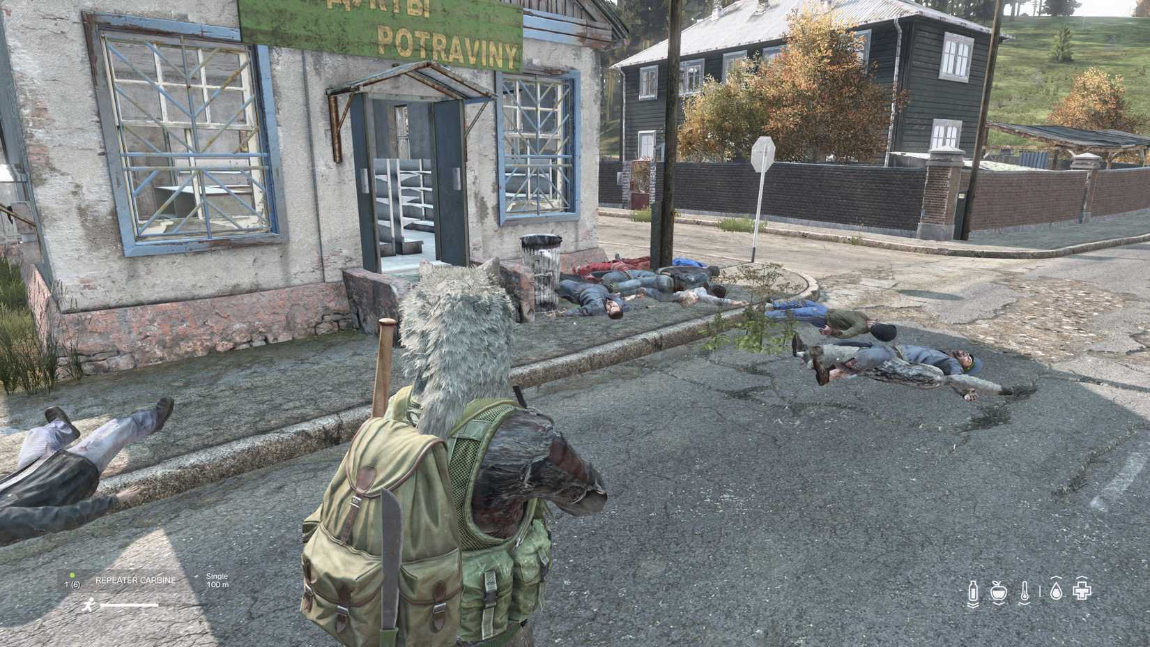 DayZ