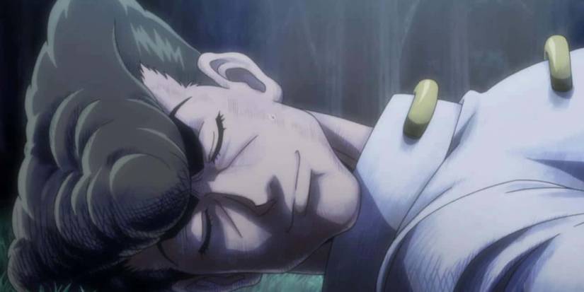 Knuckle Bine relaxing on the grass in Hunter x Hunter