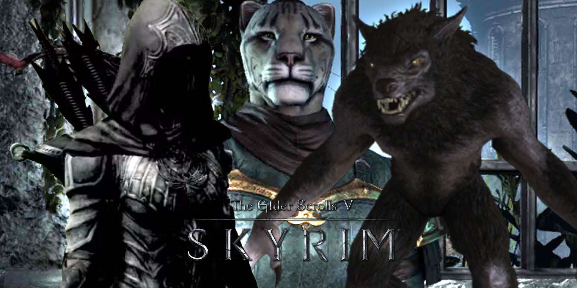 Skyrim collage with A female assassin, a khajiit warrior and a werewolf